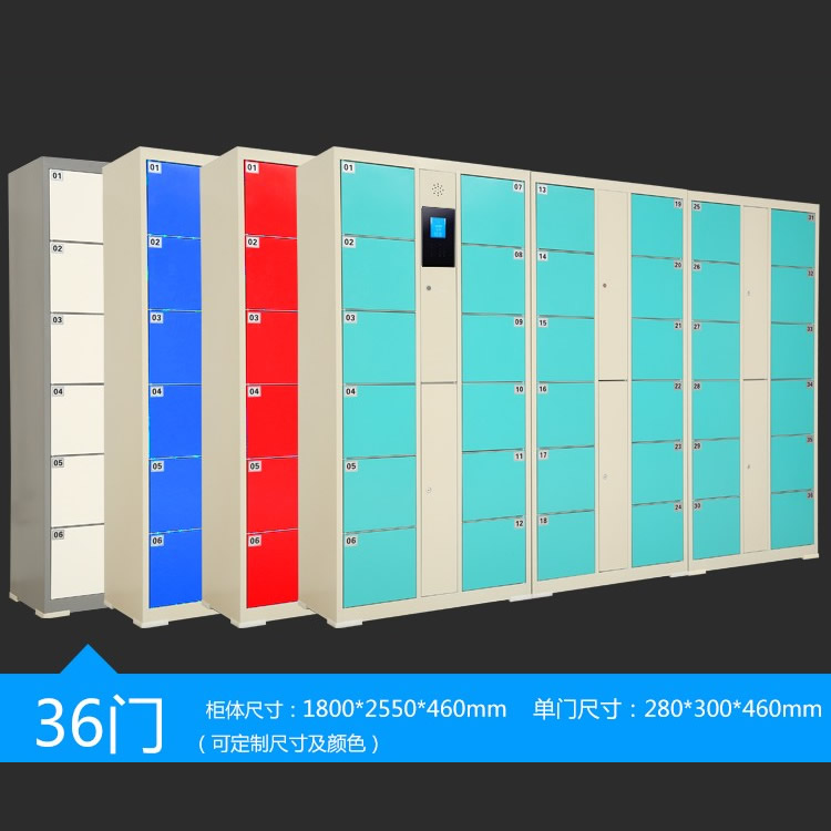 ZX-R102 36門(mén)人臉識(shí)別存包柜